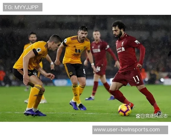 狼队英超表现堪忧仅从强队身上咬下8分却依旧垫底